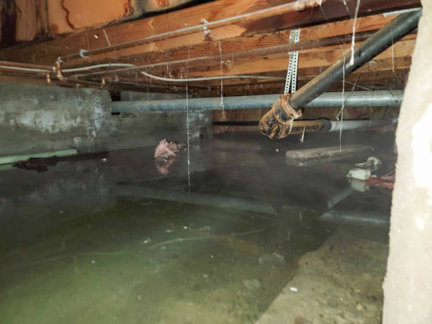 Best Water damage restoration near me  in Auburn Lake Trails, CA
