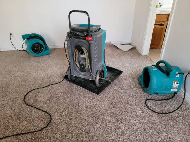 Best 24-hour water damage restoration  in Auburn Lake Trails, CA