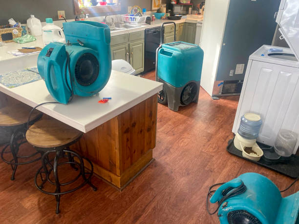 Best Water damage cleanup near me  in Auburn Lake Trails, CA