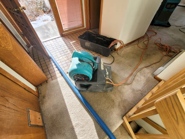 Best Flood restoration services  in Auburn Lake Trails, CA