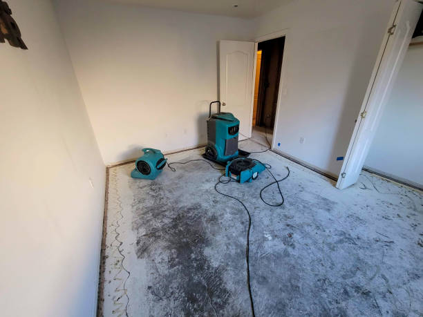 Best Sewage cleanup and water damage restoration  in Auburn Lake Trails, CA