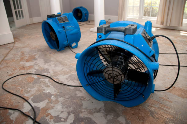 Best Mold removal after water damage  in Auburn Lake Trails, CA