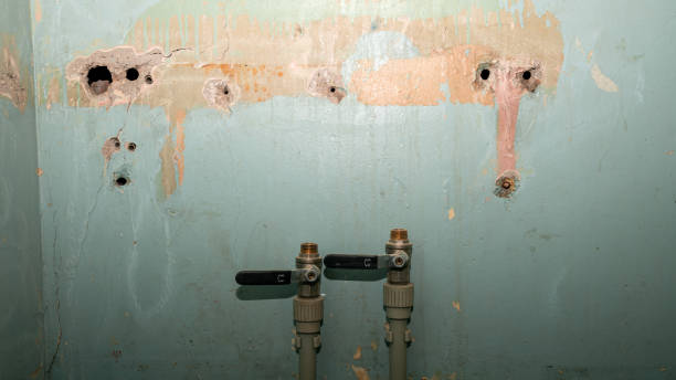 Best Water damage restoration near me  in Auburn Lake Trails, CA